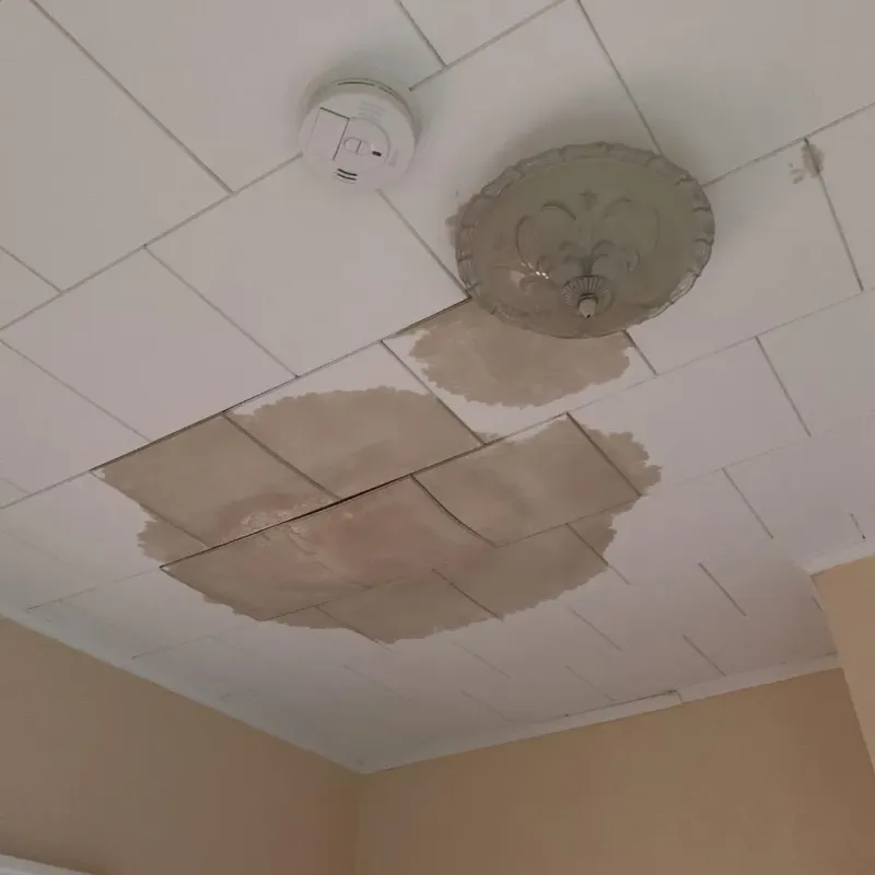 Ceiling Water Damage Repair in Perth Amboy, NJ